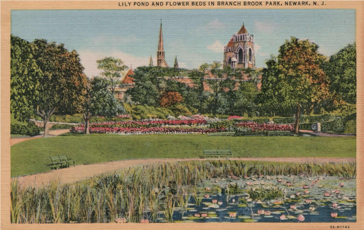 Lily Pond and Flower Beds
Postcard
