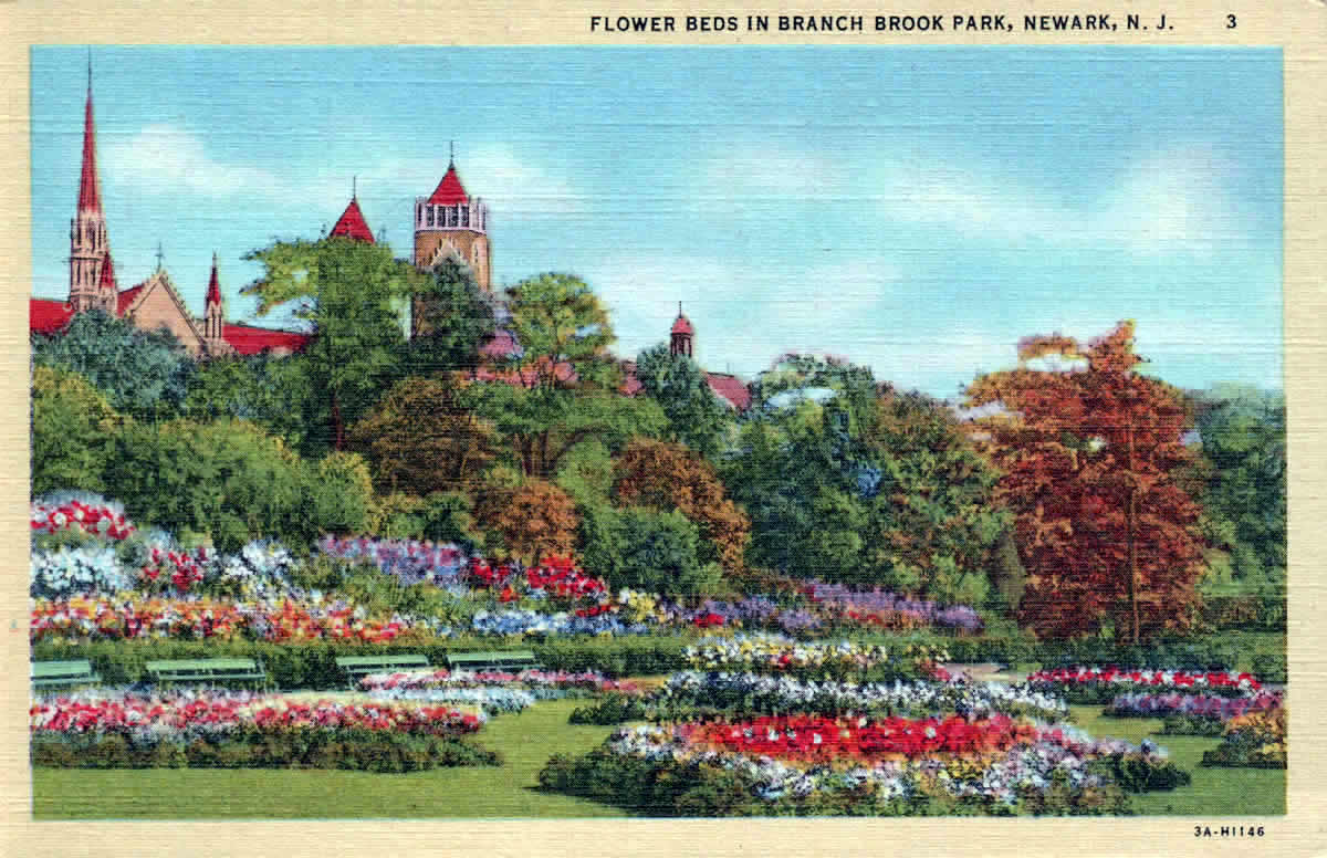 Flowerbeds
Postcard
