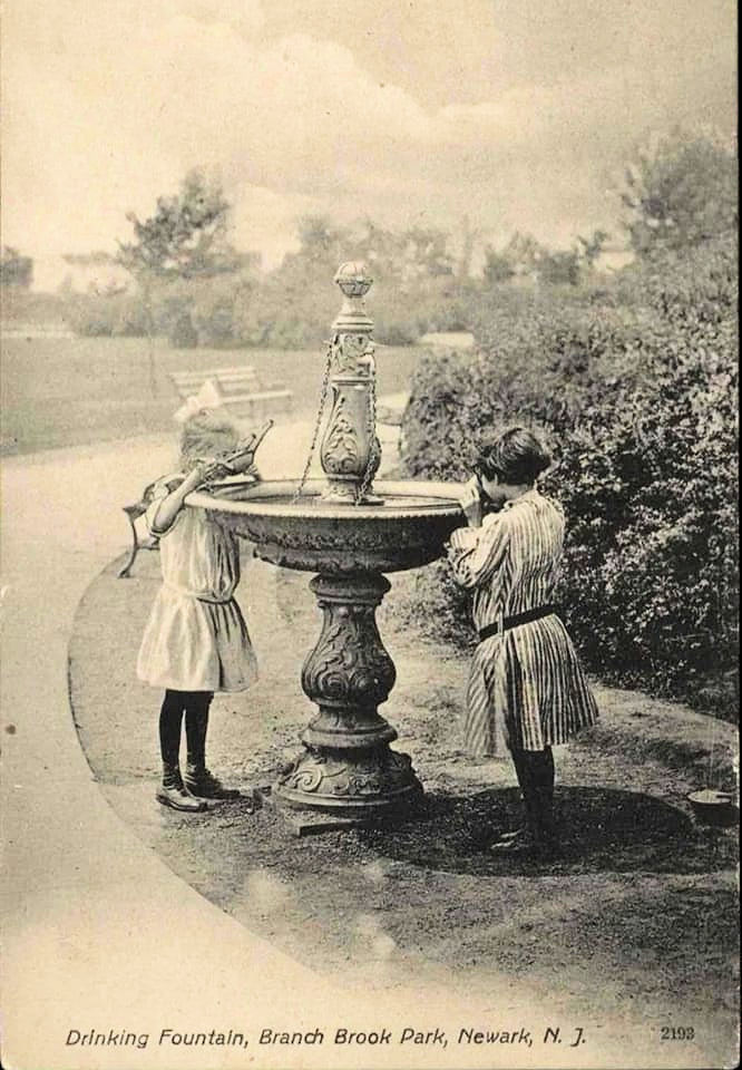 Drinking Fountain
Postcard
