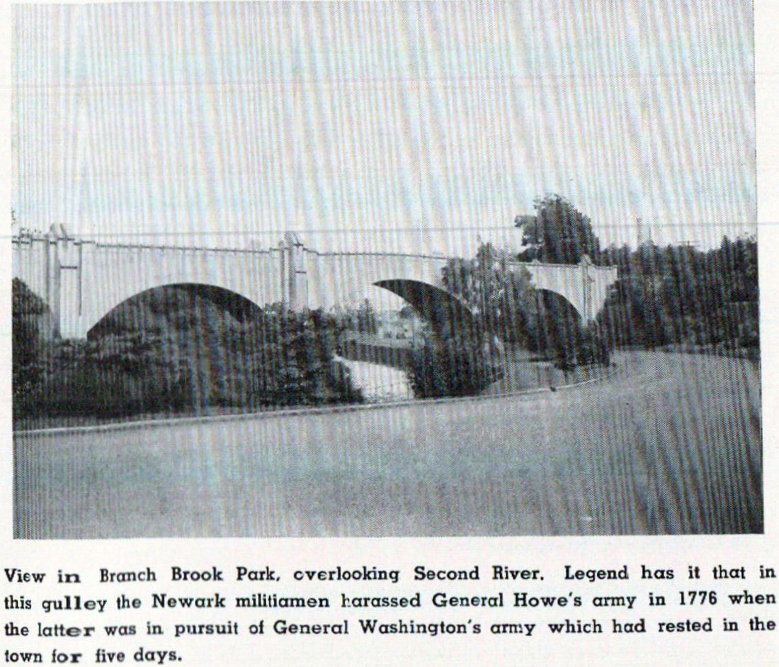 Photo from the Newark Municipal Yearbook 1948
