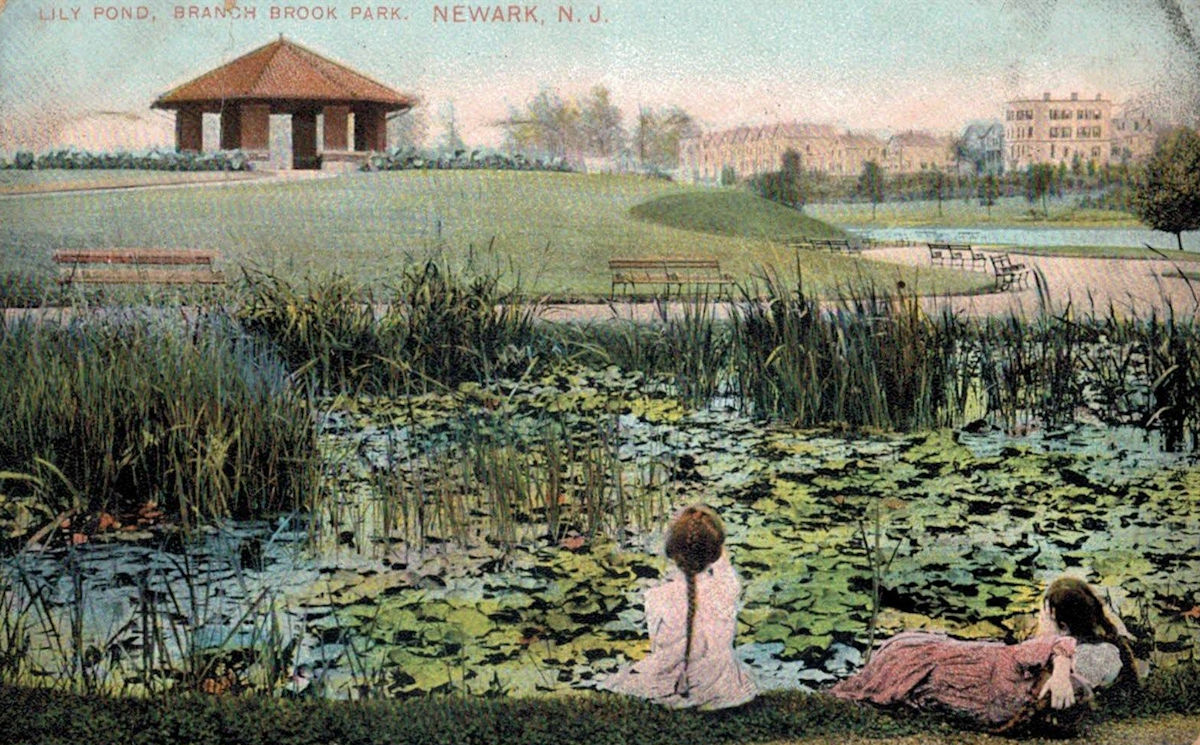 Lily Pond
Postcard

