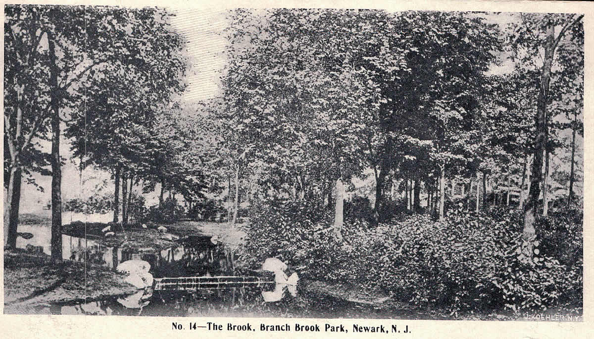 The Brook
Postcard
