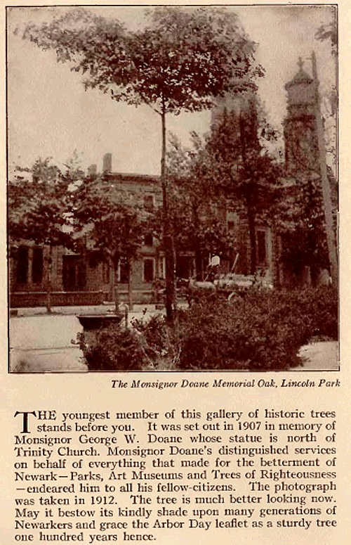 Monsignor Doane Memorial Oak Tree
From "Our Own Hall of Fame" Arbor Day, 1921
