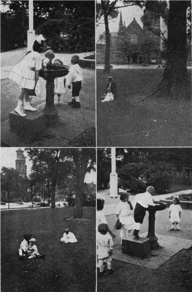 Water Fountain
From "Shade Tree Commission of the City of Newark, New Jersey" 1916
