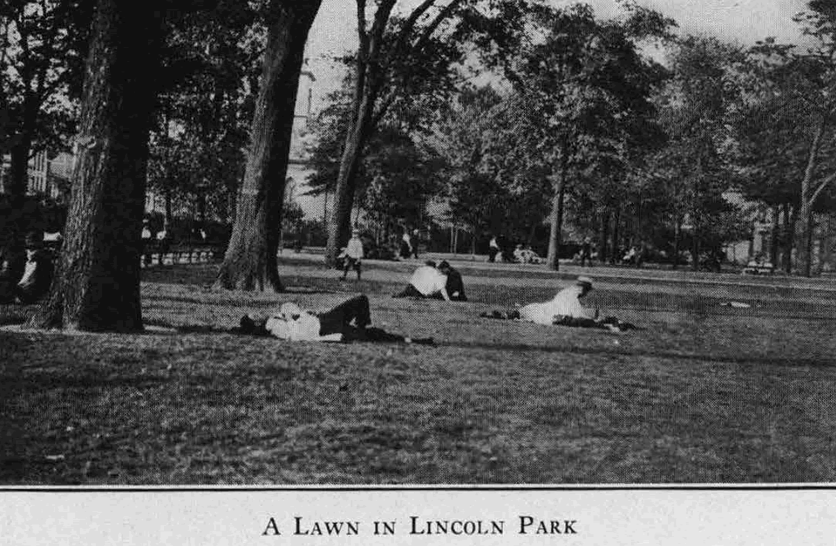 A Lawn in Lincoln Park
From "Shade Tree Commission of the City of Newark, New Jersey" 1916
