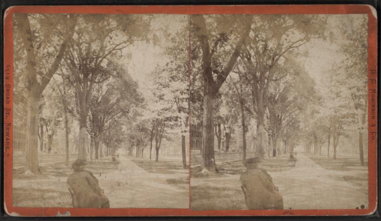 Stereoscopic Views
Unknown Year
Robert N. Dennis Collection of Stereoscopic Views
