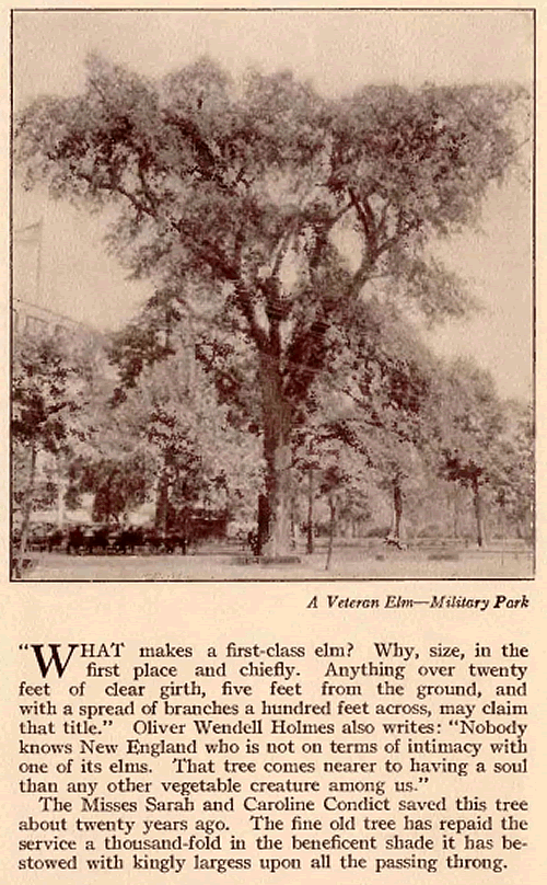 From "Our Own Hall of Fame" Arbor Day, 1921
