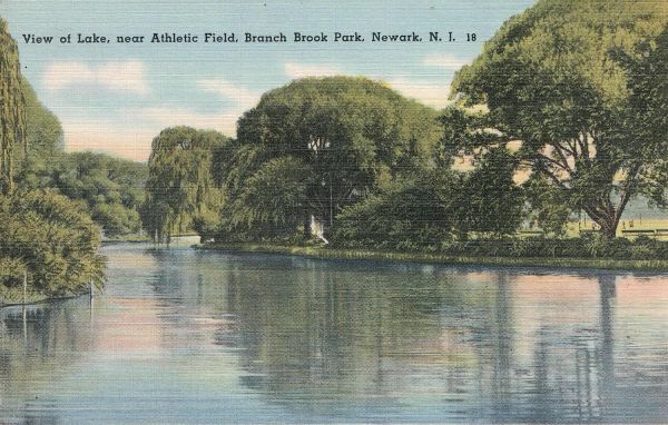 View of Lake, near Athletic Field
Postcard
