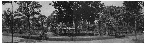 Shrub Beds
From "Shade Tree Commission of the City of Newark, New Jersey" 1908
