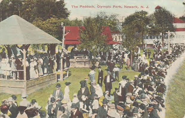 Paddock Area
Postcard
