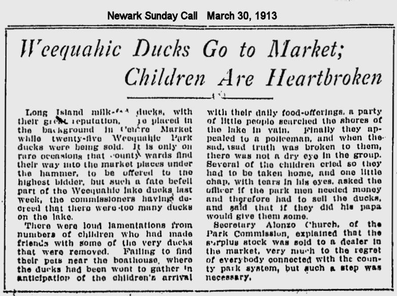 Weequahic Ducks go to Market; Children are Heartbroken
1913
