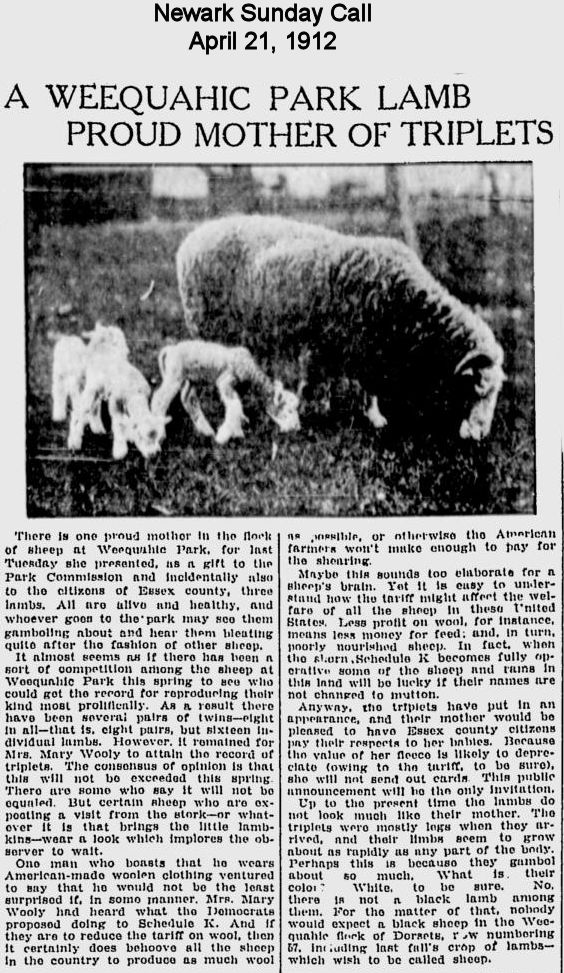 A Weequahic Park Lamb Proud Mother of Triplets
1912
