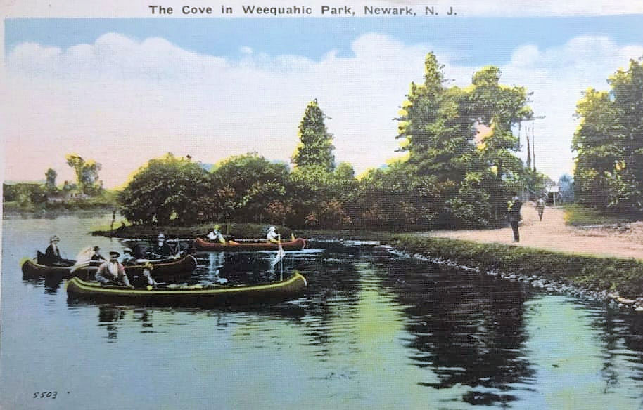 The Cove
Postcard
