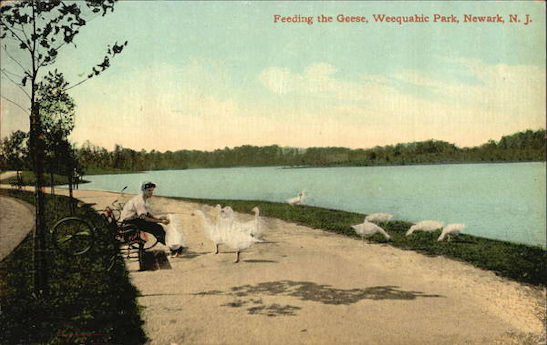 Feeding the Geese
Postcard
