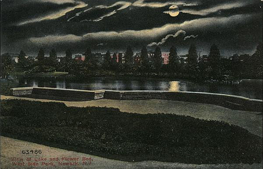 Night Time View of the Lake and Flower Bed 
Postcard
